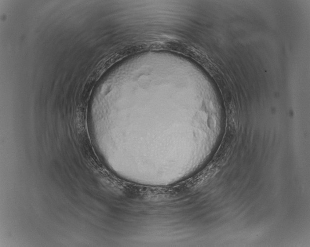 X0000072990819200608211513