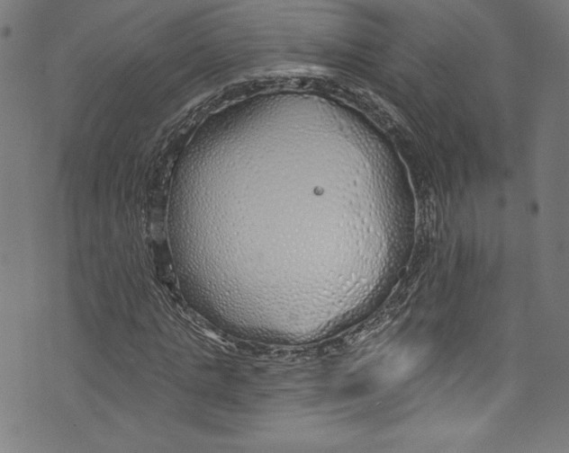 X0000072990821200608211513