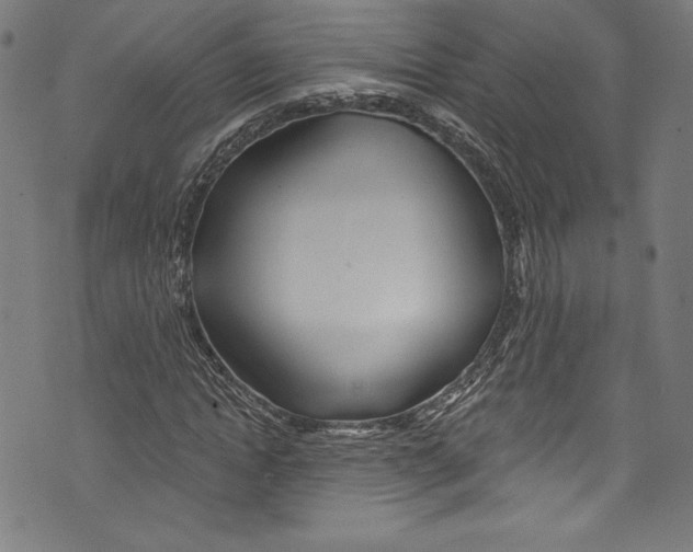 X0000072990822200608211513