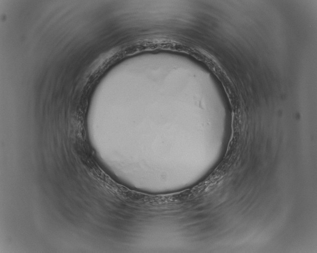 X0000072990823200608211513