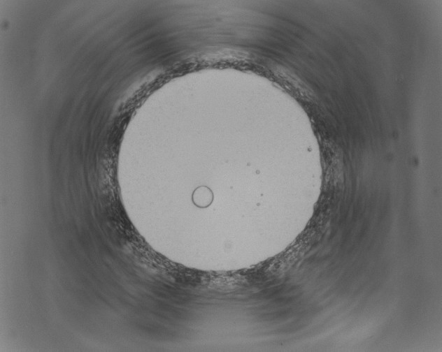 X0000072990824200608211513