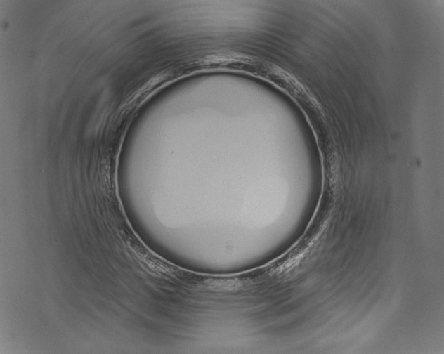 X0000072990825200608211513