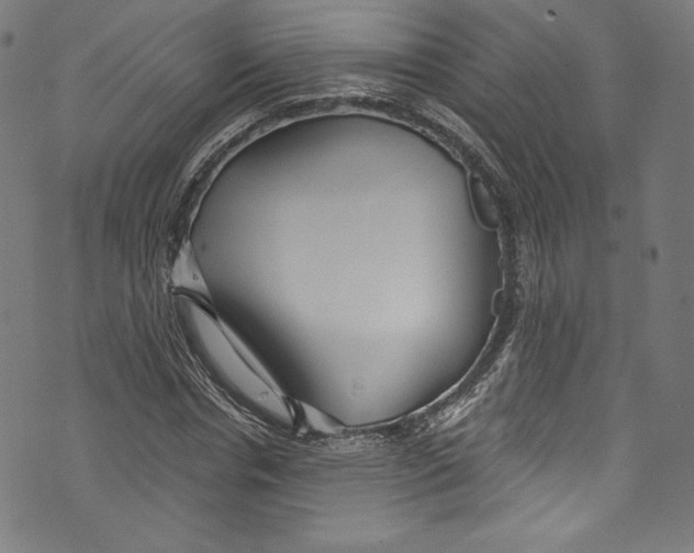 X0000072990826200608211513