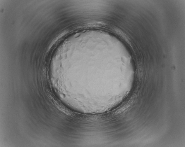 X0000072990827200608211513