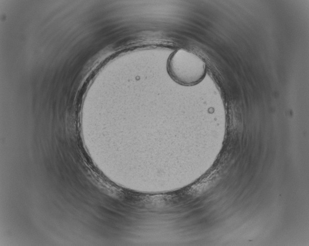 X0000072990828200608211513