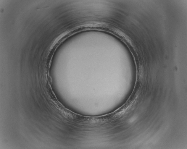 X0000072990829200608211513