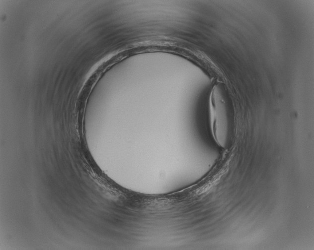 X0000072990830200608211513