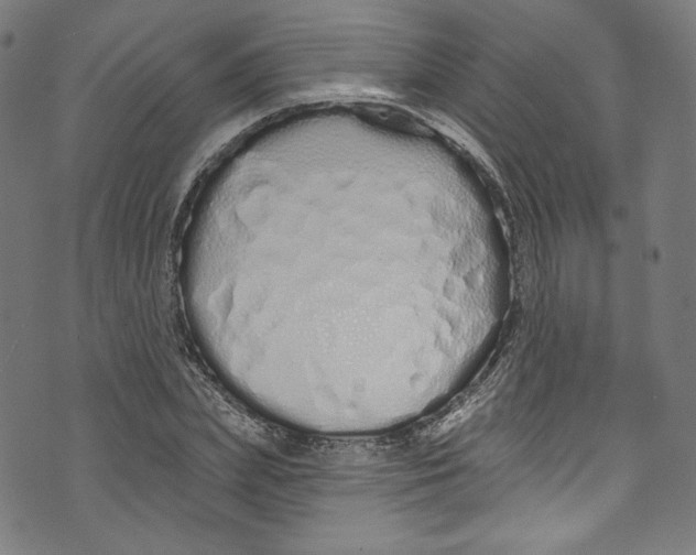 X0000072990831200608211513