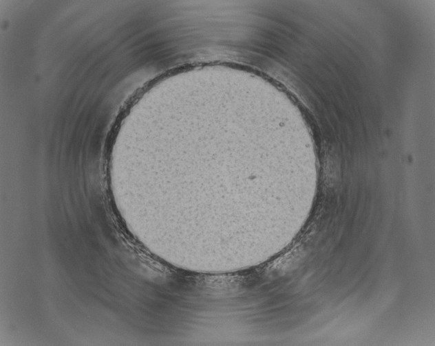 X0000072990832200608211513