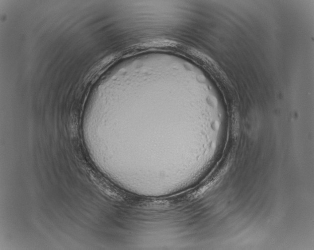 X0000072990833200608211513