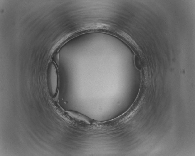 X0000072990834200608211513