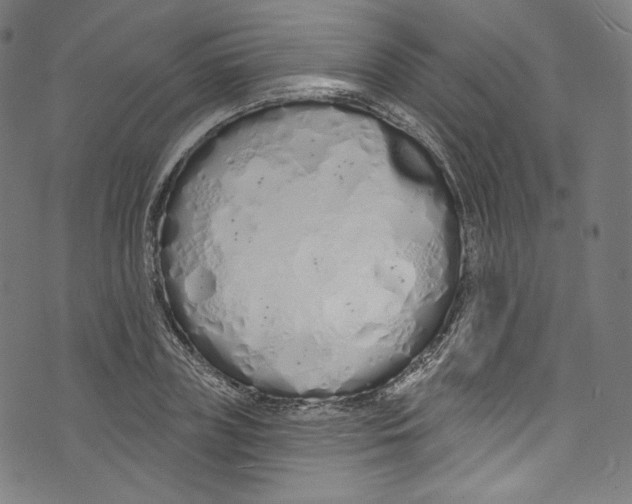 X0000072990835200608211514