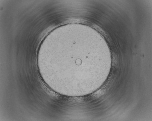 X0000072990836200608211514