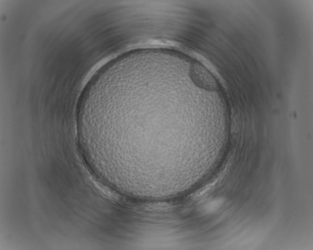 X0000072990837200608211514