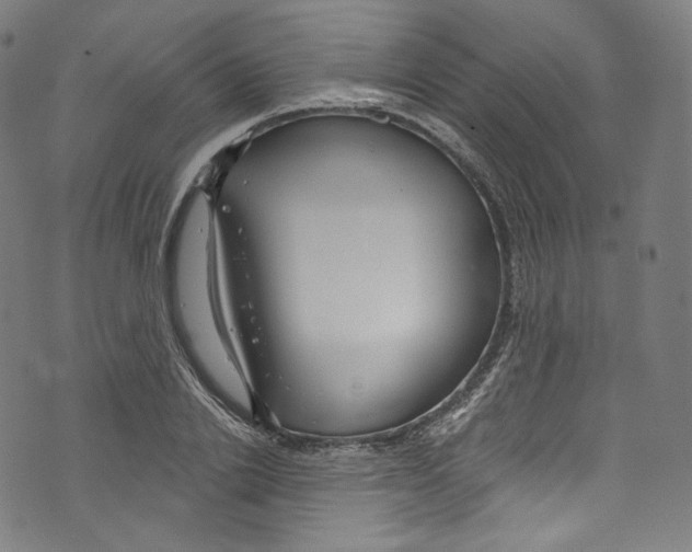 X0000072990838200608211514