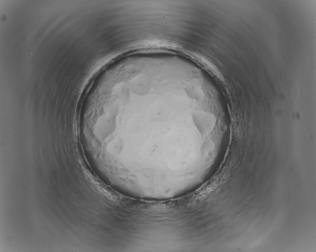 X0000072990839200608211514