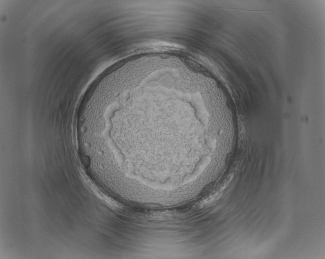 X0000072990843200608211514