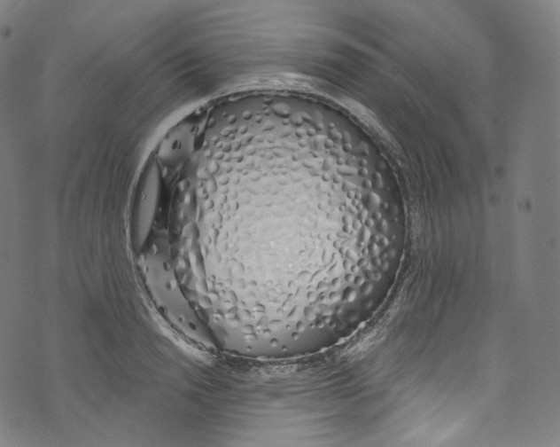 X0000072990846200608211514