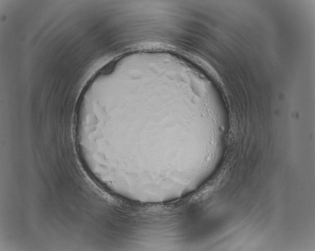 X0000072990847200608211514