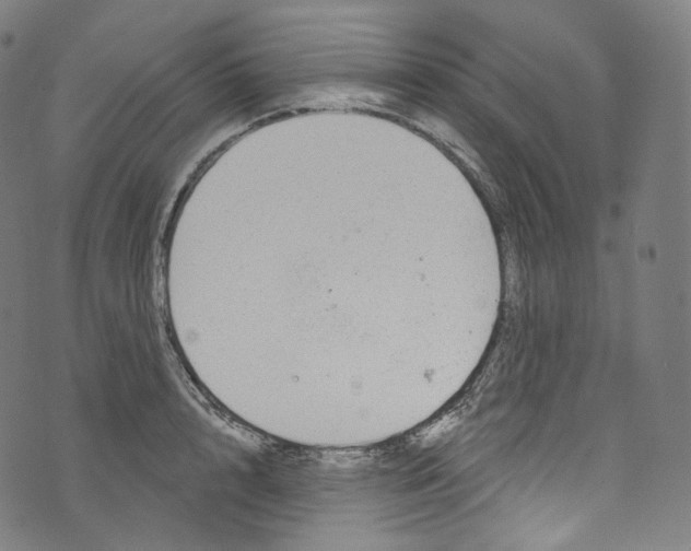 X0000072990848200608211514