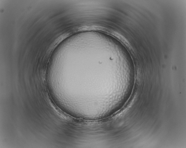 X0000072990849200608211514