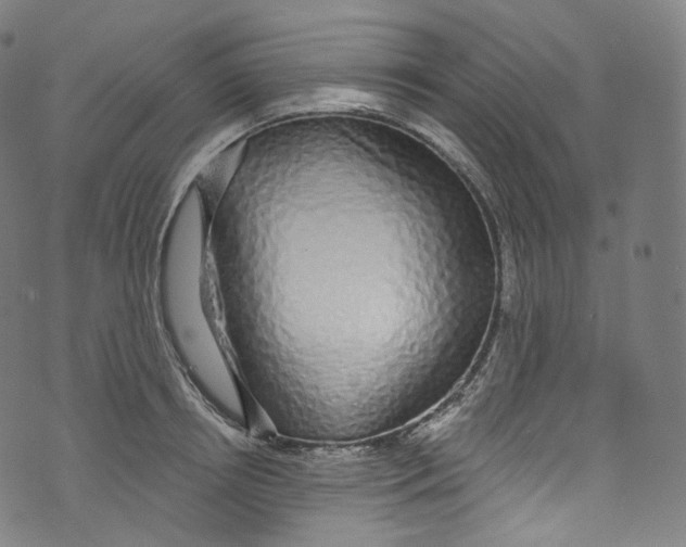 X0000072990850200608211514