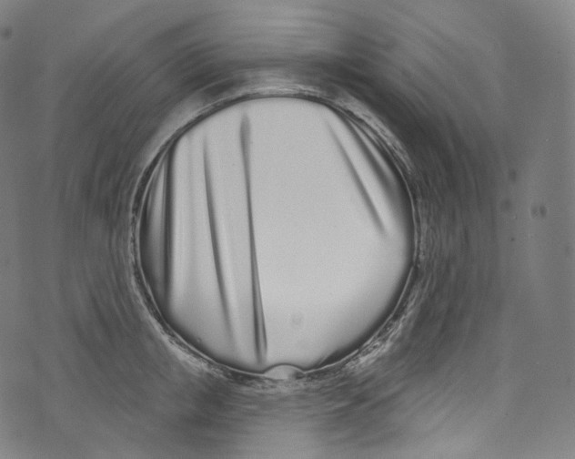 X0000072990853200608211514