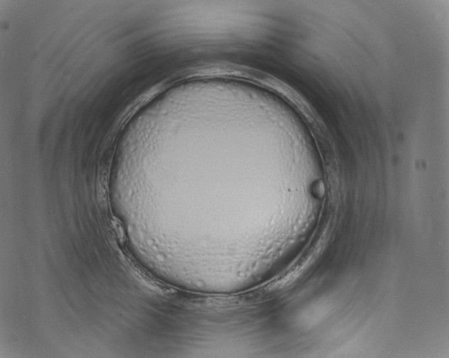 X0000072990857200608211514