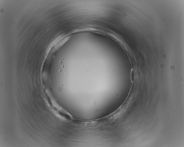 X0000072990858200608211514