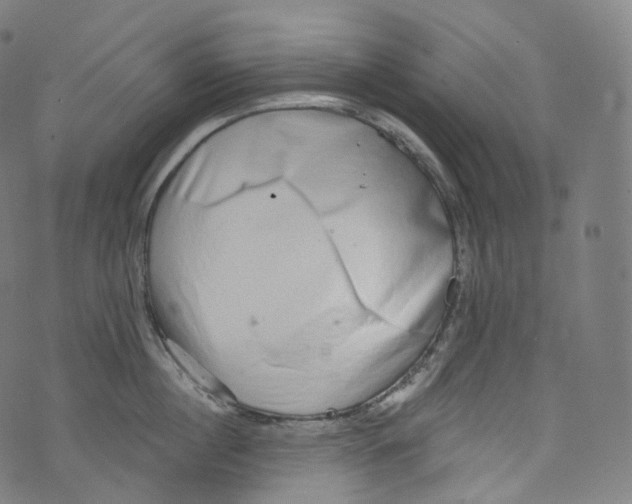 X0000072990860200608211514