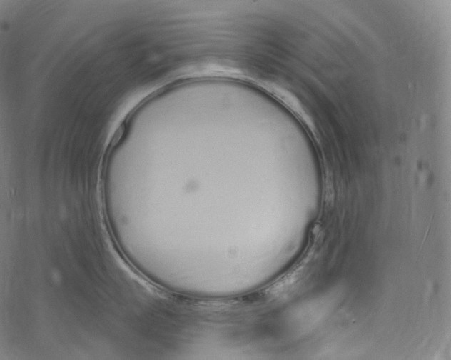 X0000072990863200608211514