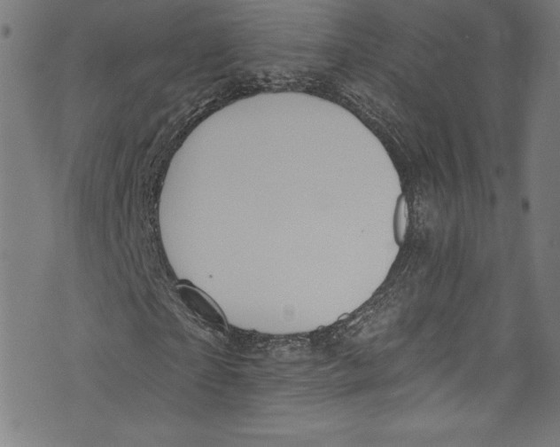 X0000072990865200608211513