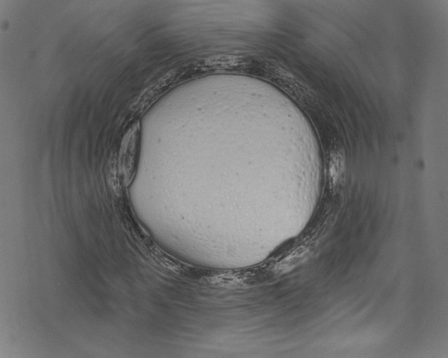 X0000072990867200608211513