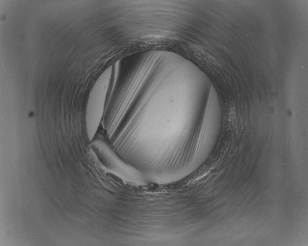 X0000072990868200608211513