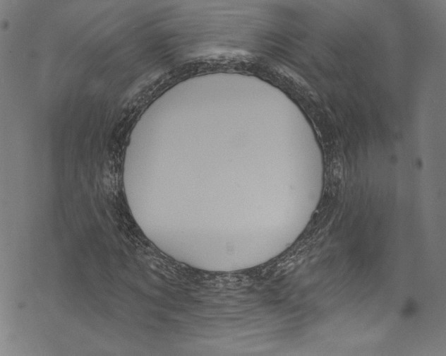 X0000072990869200608211513