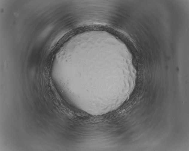 X0000072990871200608211513