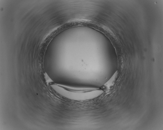 X0000072990872200608211513