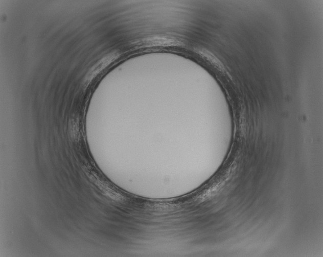 X0000072990873200608211513