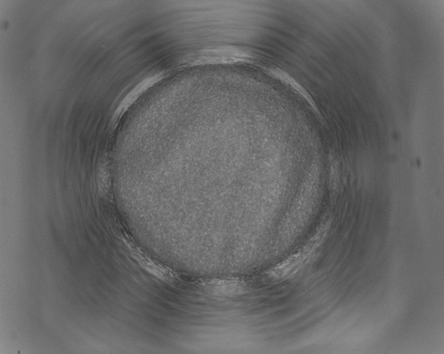 X0000072990874200608211513