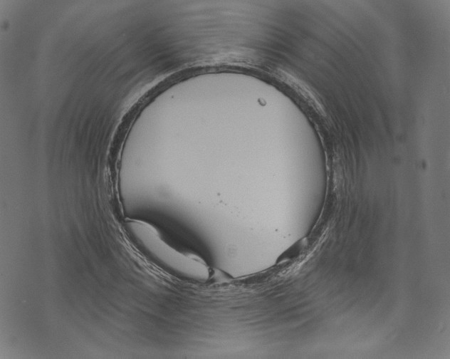 X0000072990876200608211513