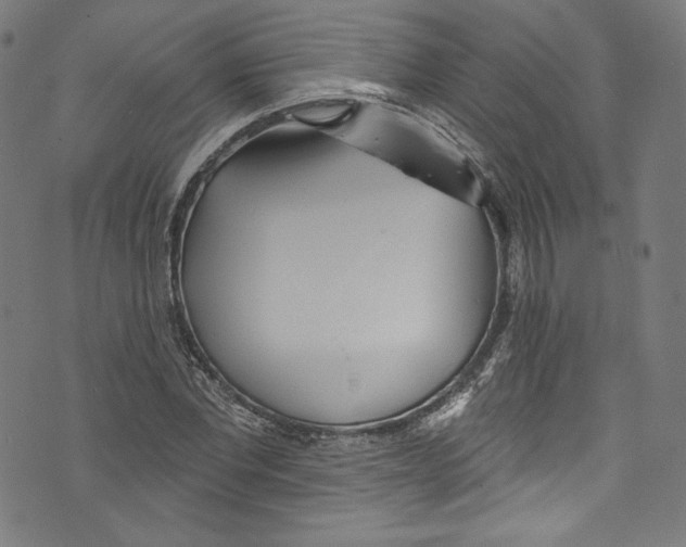 X0000072990877200608211513