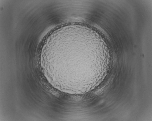 X0000072990878200608211513