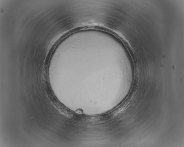 X0000072990879200608211513