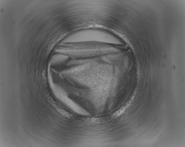 X0000072990881200608211513