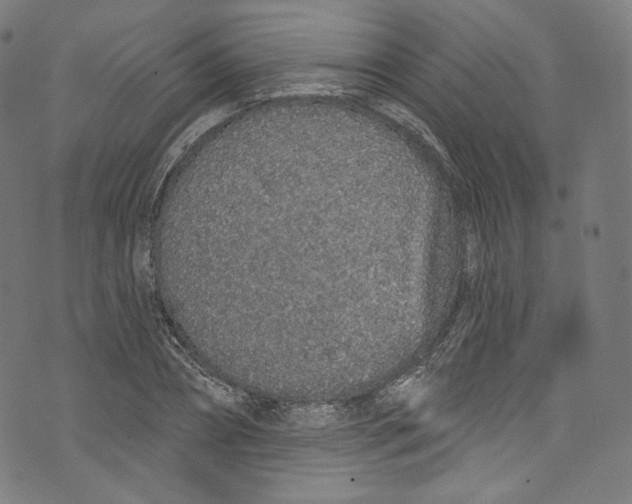 X0000072990882200608211513