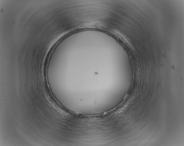 X0000072990884200608211513