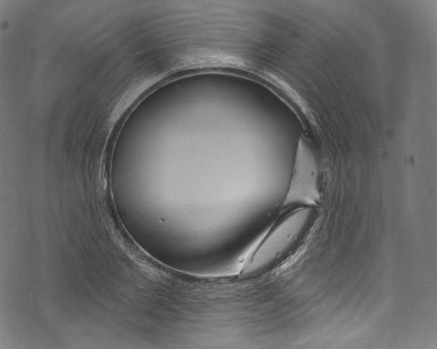 X0000072990885200608211513