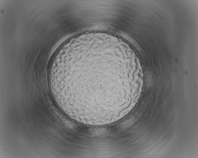 X0000072990886200608211513