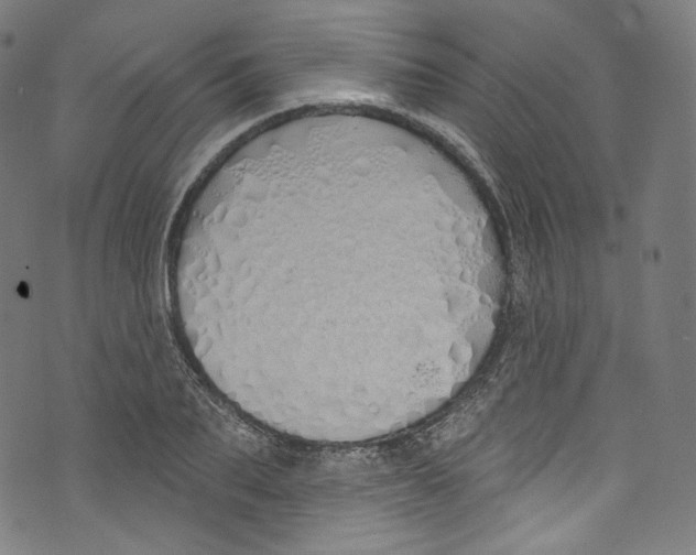 X0000072990887200608211513