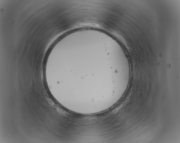 X0000072990888200608211513